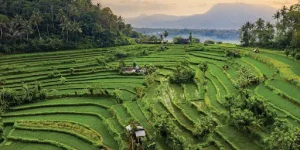 One of  U Wang Young’s projects involves eco-tourism developments in some of the world’s most pristine and untouched environments.